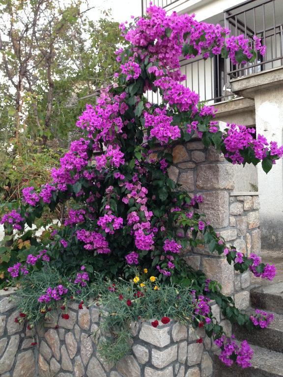 Guesthouse Maver كريس الغرفة الصورة